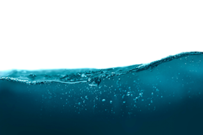 side view of a wave of water.