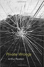 Cover of "Private Wrongs"