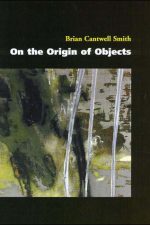 Cover of "On the Origin of Objects"