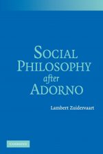 Cover of "http://www.cambridge.org/do/academic/subjects/philosophy/philosophy-social-science/social-philosophy-after-adorno?format=AR&isbn=9780511287251#oCGtlkQT1BRMlP6y.97"