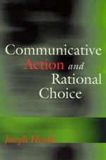 Cover of "Communicative Action and Rational Choice"